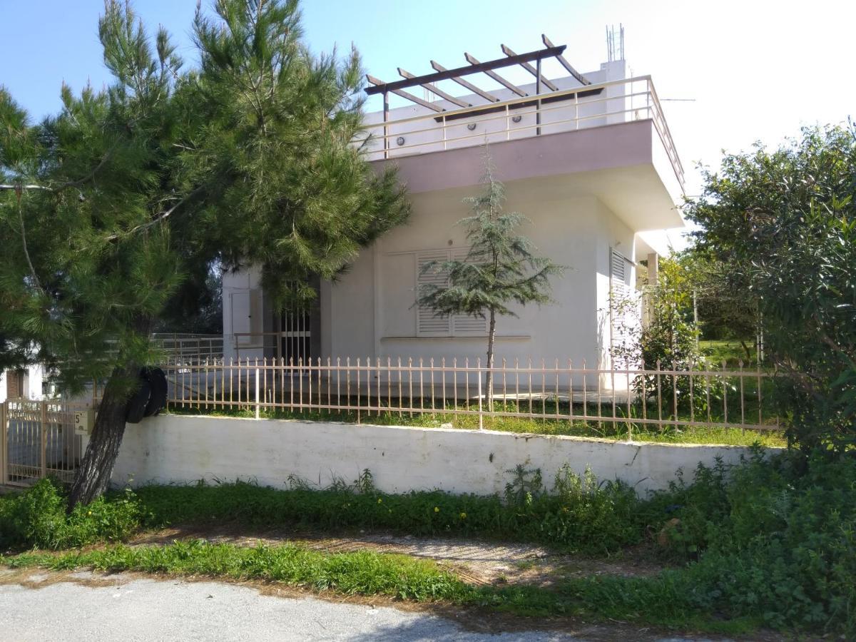 Thanasis Villa Kounoupidhiana Exterior photo
